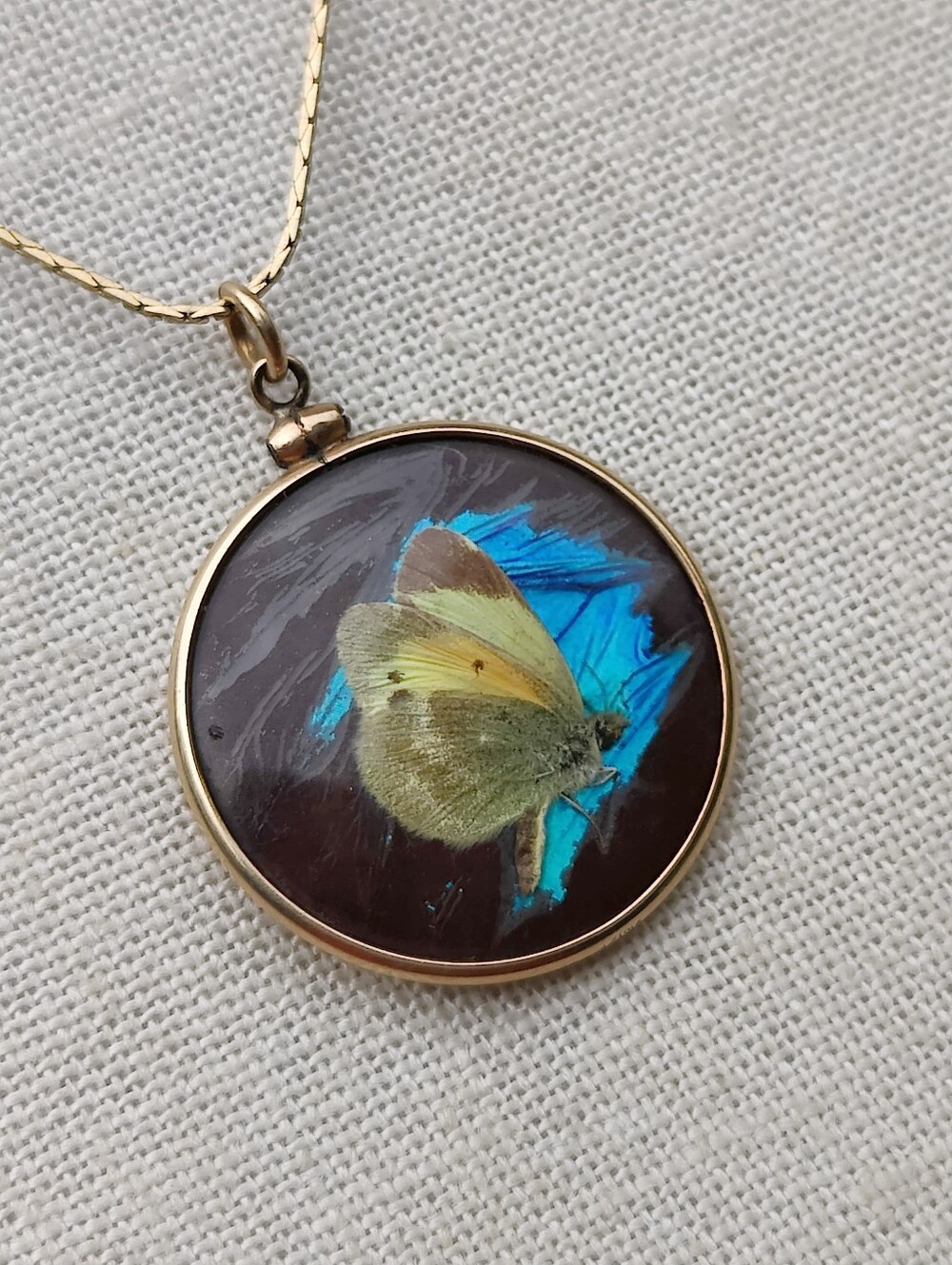 🦋 Antique Victorian Morpho Butterfly Pendant Necklace - Picture 6 of 6